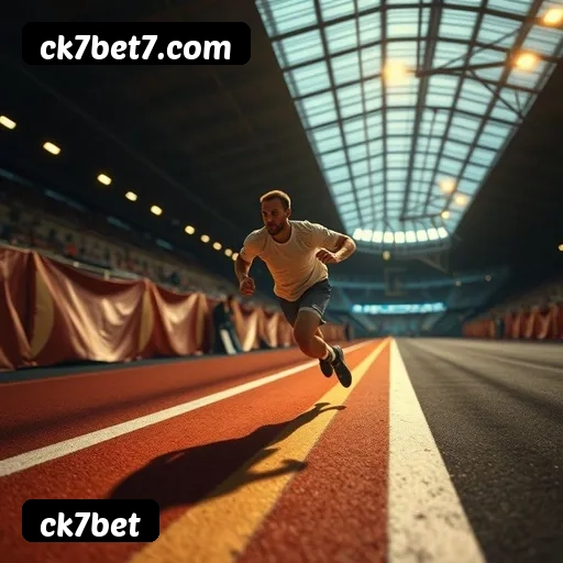 Níveis do programa VIP da ck7bet